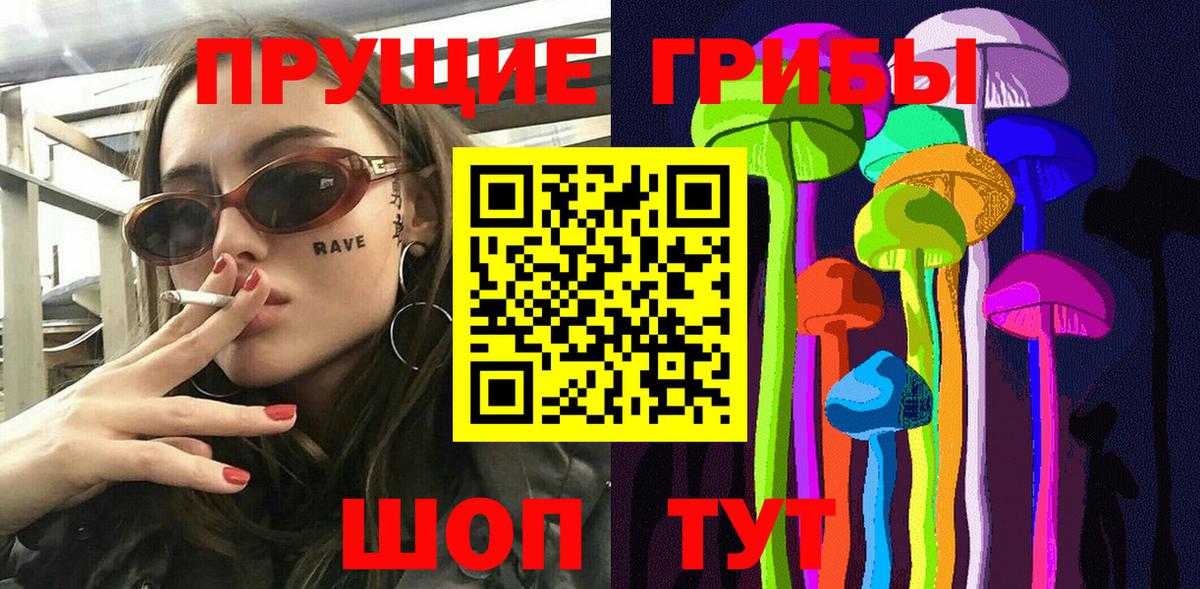 Красногорск  Псилоцибиновые грибы Cubensis  Вход с VPN  Псилоцибиновые грибы Psilocybine cubensis 