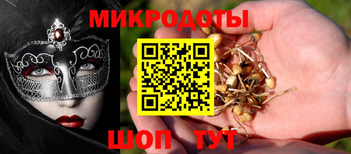 Псилоцибиновые грибы MAGIC MUSHROOMS Красногорск